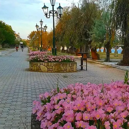 Hotel Eleni 2*