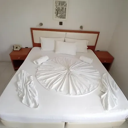 Eleni Hotel 2*