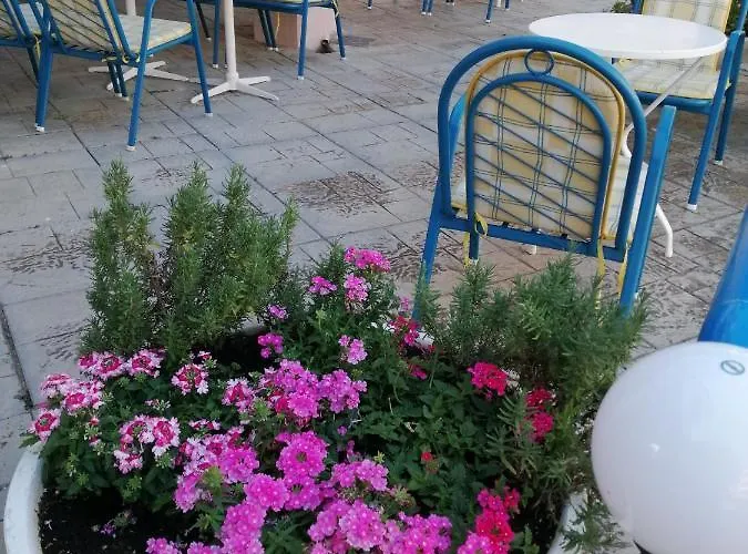 Eleni 2* Paralia Dionysiou