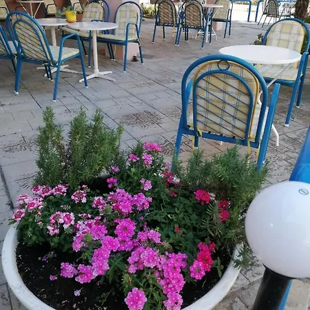 Eleni 2* Paralia Dionysiou